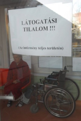 markusovszky (markusovszky)