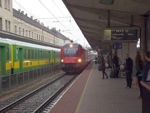 migráns (migránsok)