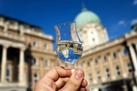 palinkafesztival(1)(960x640).jpg (ingyenes, budai vár, )