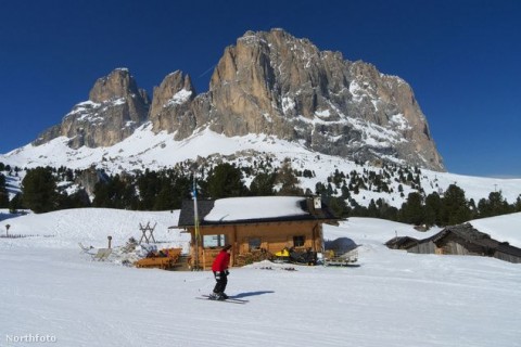 sipalya(960x640)(3).jpg (sípálya, )