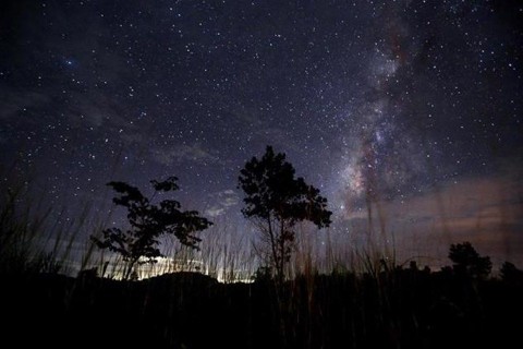 tejut(1)(960x640).jpg (tejút, )