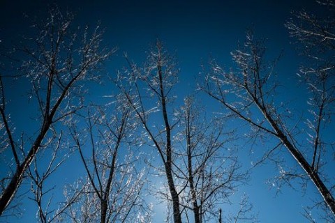 telies-idojaras(430x286)(2).jpg (időjárás, tél, napsütés, )