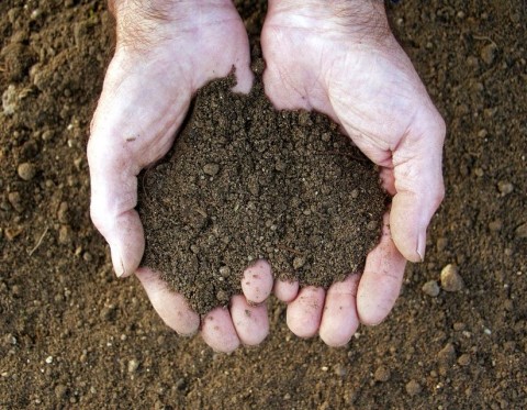 termofold(960x640)(2).jpg (termőföld)