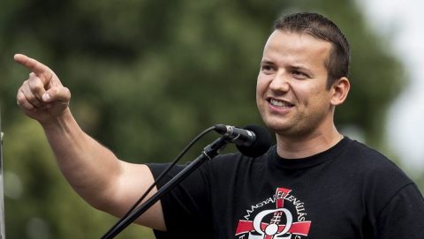 toroczkai (toroczkai)