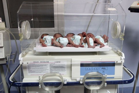 újszülött (újszülött, )