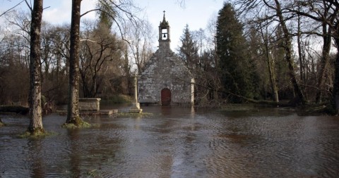vihar franciao (vihar, dirk, francia vihar)