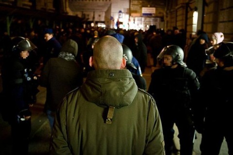 Borfeju(960x640)(1).jpg (bőrfejű)