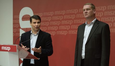Botka László (botka lászló, mesterházy attila, mszp, )