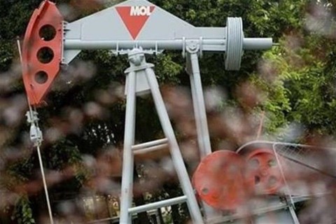 MOL(1)(1)(960x640).jpg (MOL)