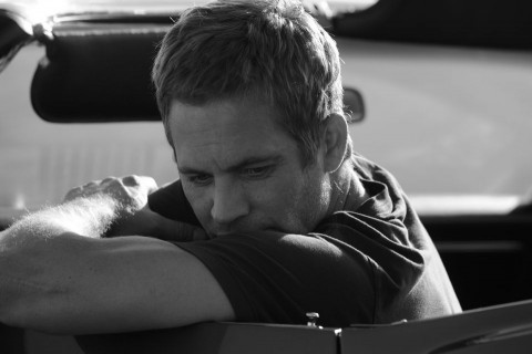 Paul-Walker(430x286)(1).jpg (paul walker, )