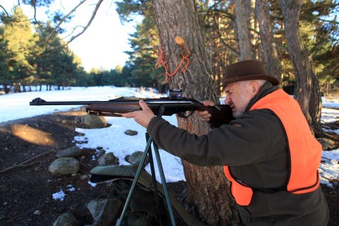 Vadaszat(960x640)(1).jpg (vadászat, )