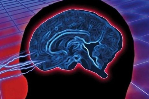 agy(1)(960x640).jpg (agy)