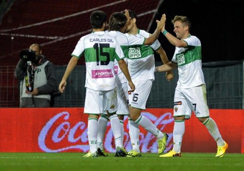 elche (elche)