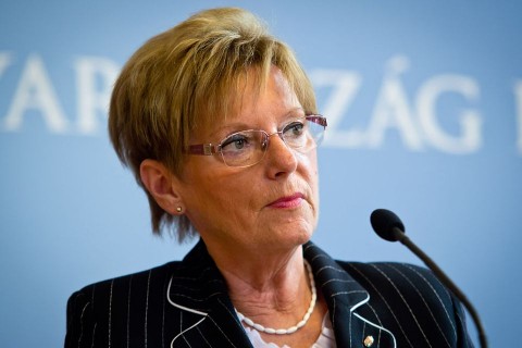 hoffmann-rozsa(960x640)(2).jpg (hoffamnn rózsa)