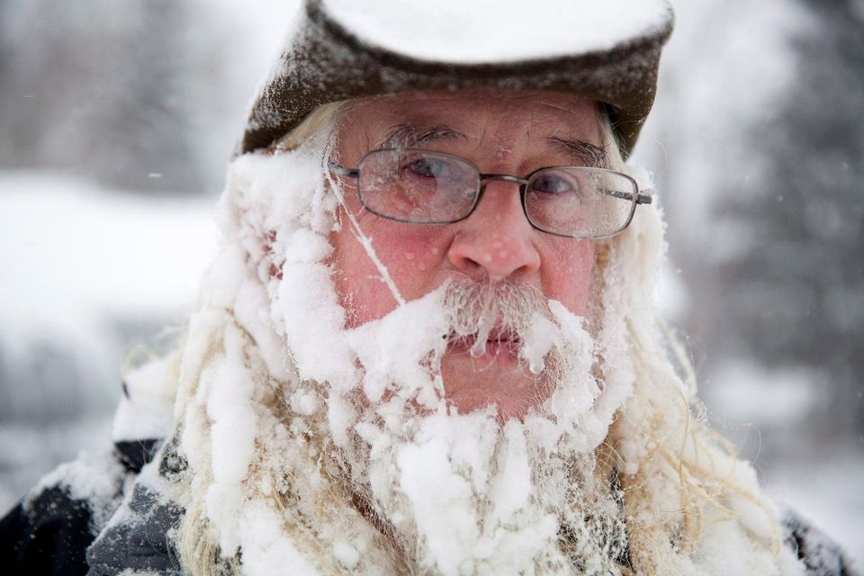 jeges szakáll (hideg, tél, szakáll, jég, )