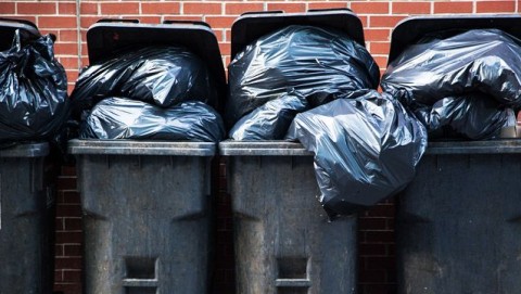 kuka(430x286)(1).jpg (kuka, szemét, )