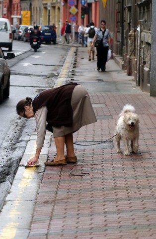 kutyagumi (kutyagumi)