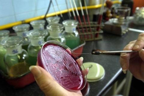 labor(960x640).jpg (labor)