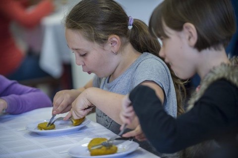 menza(430x286)(1).jpg (menza)