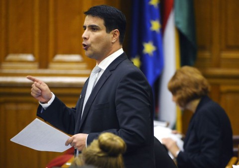 mesterhazy(960x640)(2).jpg (mesterházy)