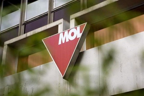 mol(1)(960x640).jpg (mol)