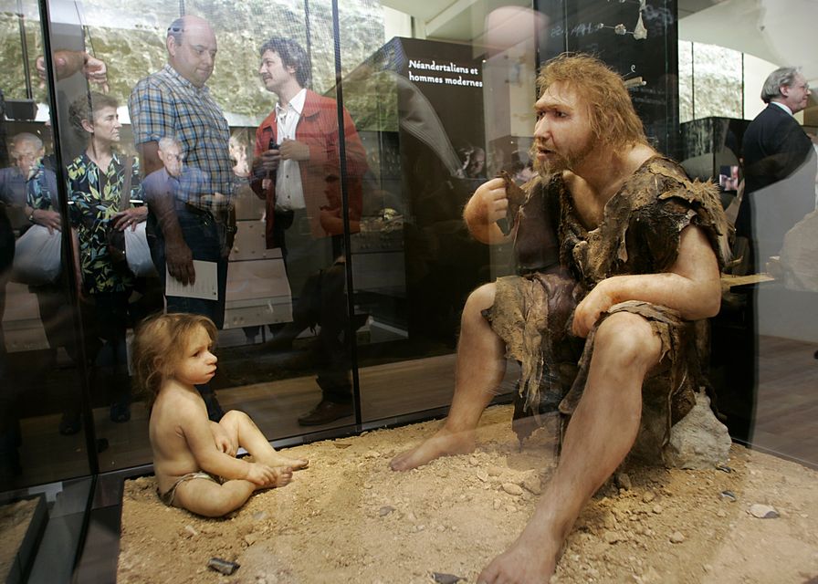 neandervölgyi (neandervölgyi, )