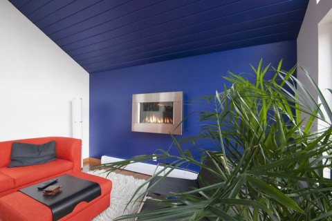 noveny(960x640)(1).jpg (nörvény)