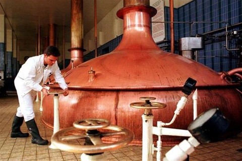 sor(1)(960x640).jpg (sör, )