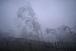 szel(960x640)(3).jpg (szél, vihar, )