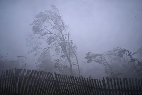 szel(960x640)(3).jpg (szél, vihar, )