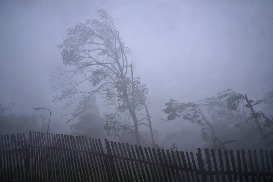 szel(960x640)(3).jpg (szél, vihar, )