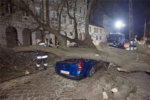 szélvihar budapesten, autóra dőlt fa, kidőlt fa (kidőlt fa)