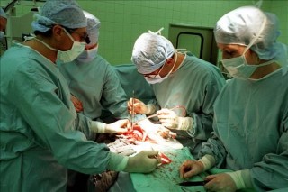 szervatultetes(960x640)(1).jpg (szervátültetés, transzplantáció, műtét, műtő, orvos, sebész, )