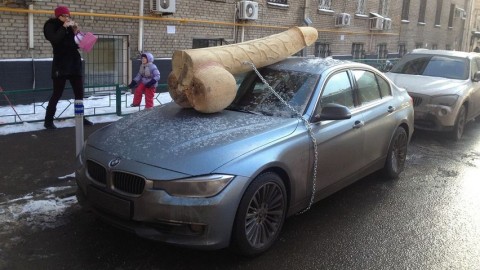Fapénisz (pénisz, fallosz, bmw, )