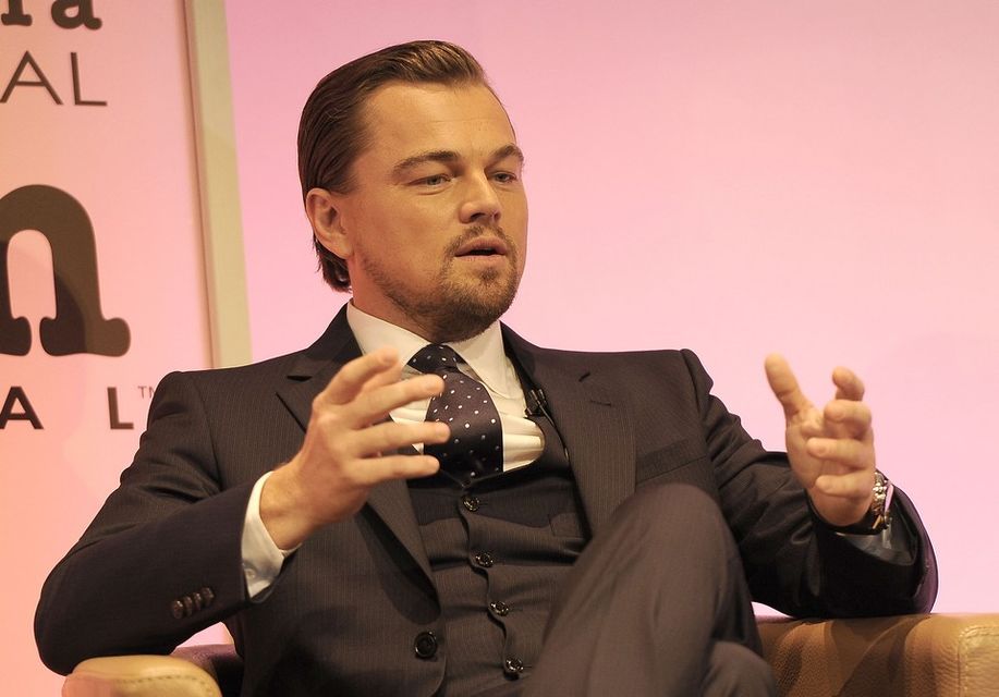 Leonardo DiCaprio (leonardo dicaprio, )