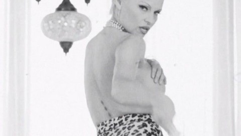 Pamela Anderson (Pamela Anderson, szexi)