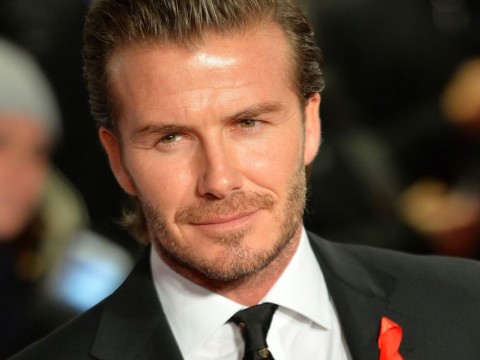 david beckham (david beckham)