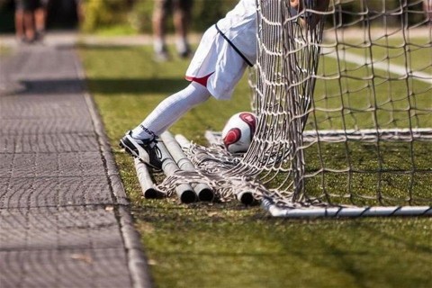 foci(1)(960x640).jpg (foci)