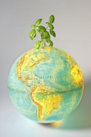 környezetvédelem (környezettudatosság, )