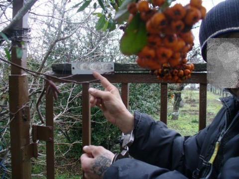 kulcsi fosztogató (kulcsi fosztogató)