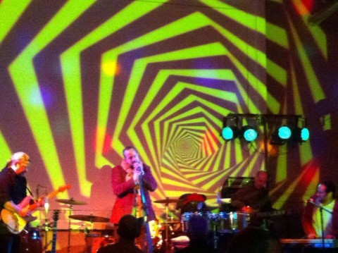 petőfi kultúrtér (petőfi kultúrtér, )