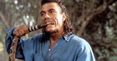 van damme (jean claude van damme)