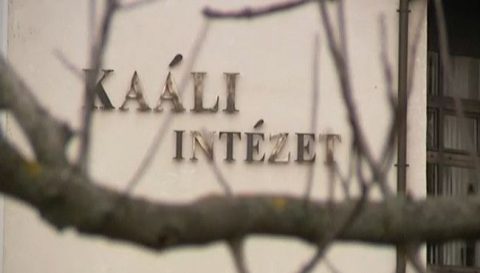 Kaáli intézet (kaáli intézet, meddőség)