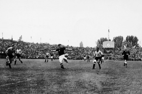 Kocsis Sándor (kocsis sándor, )