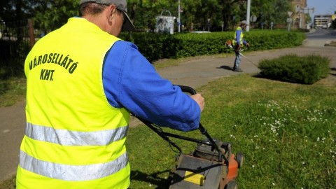 Közmunkás Vásárhelyen (közmunka, közmunkás, közmunkások, )