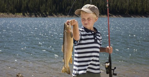 hal (horgász, halak, pecázás, )