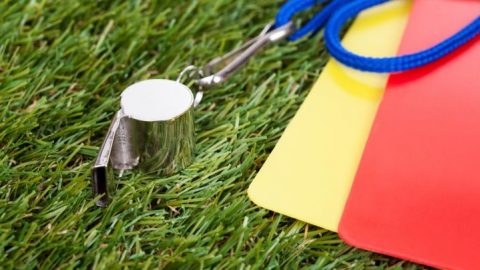 játékvezető, bíró (játékvezető, bíró, )