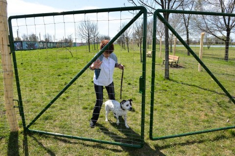 kutyafuttató (kutyafuttató, )