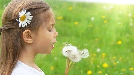 napsutes(1)(430x286).jpg (tavasz, nyár, napsütés)