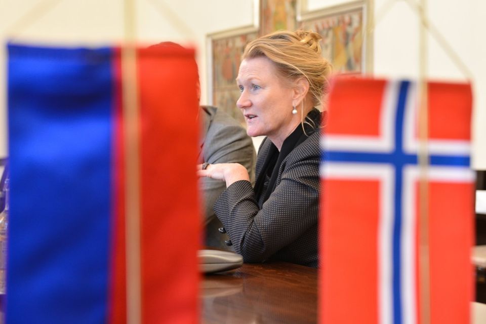 norvég nagykövet (norvég nagykövet, tove skarstein)